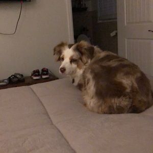 Meet your Posher, Roberto